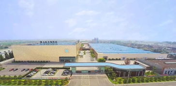 隆力奇 堅守大健康產業，以網絡科技賦能民族品牌振興之路